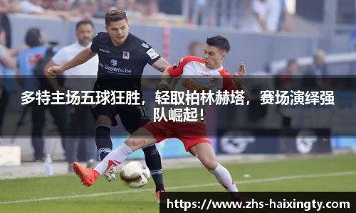 海星体育官网